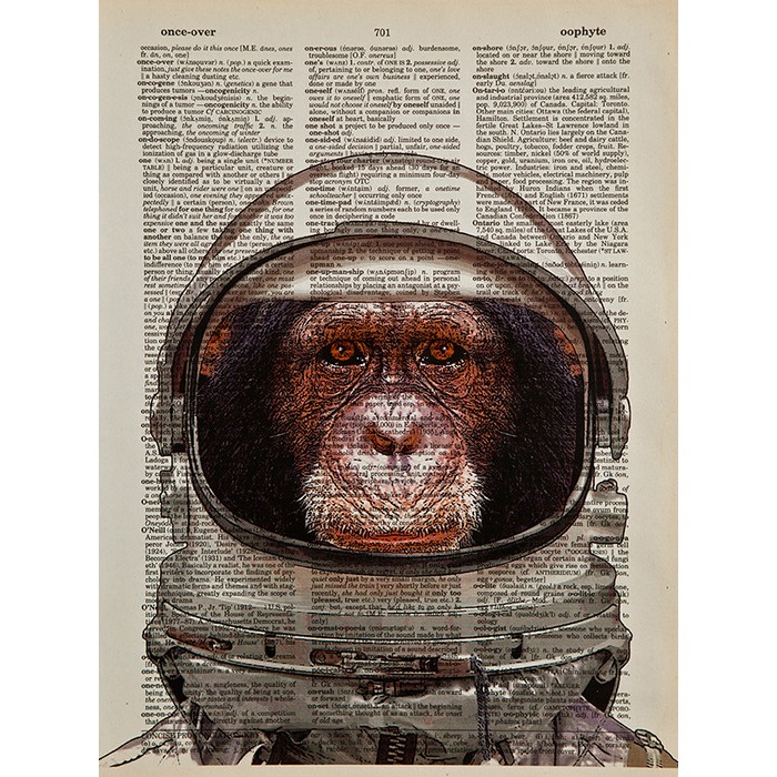 [귀여운 동물그림 아트 포스터 액자] spacechimp