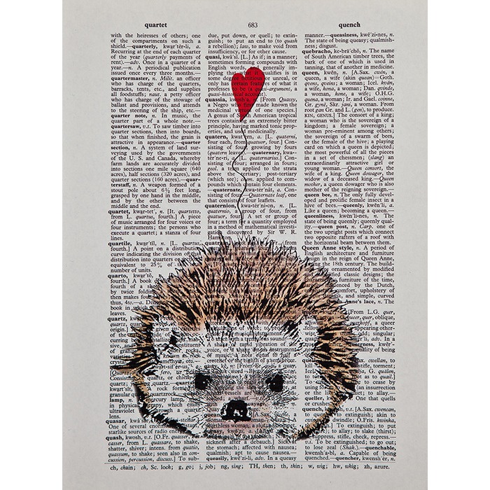 [귀여운 동물그림 아트 포스터 액자] Hedgehog